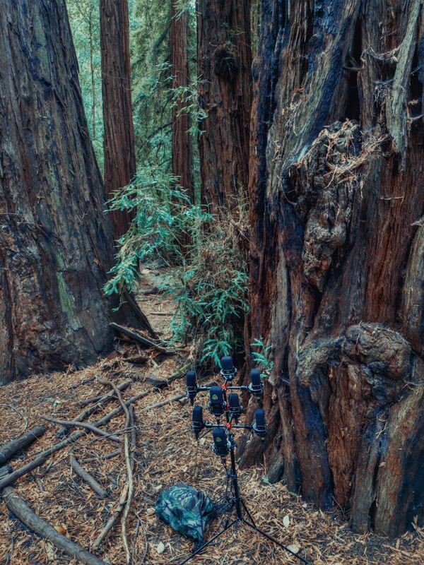 Immersive audio array of LCT 540 S microphones