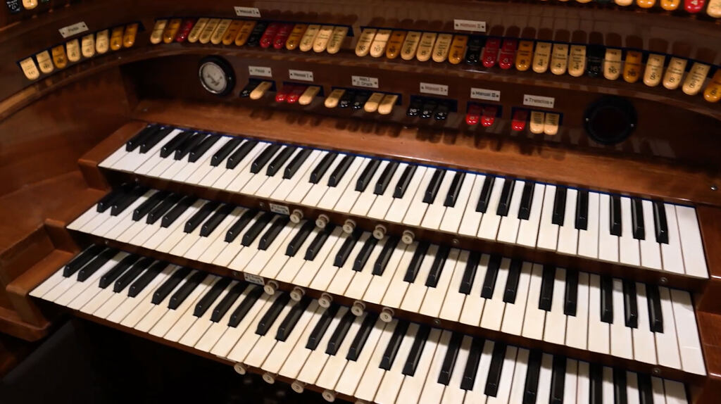 Organ