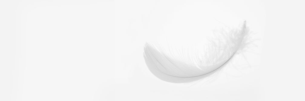 feather