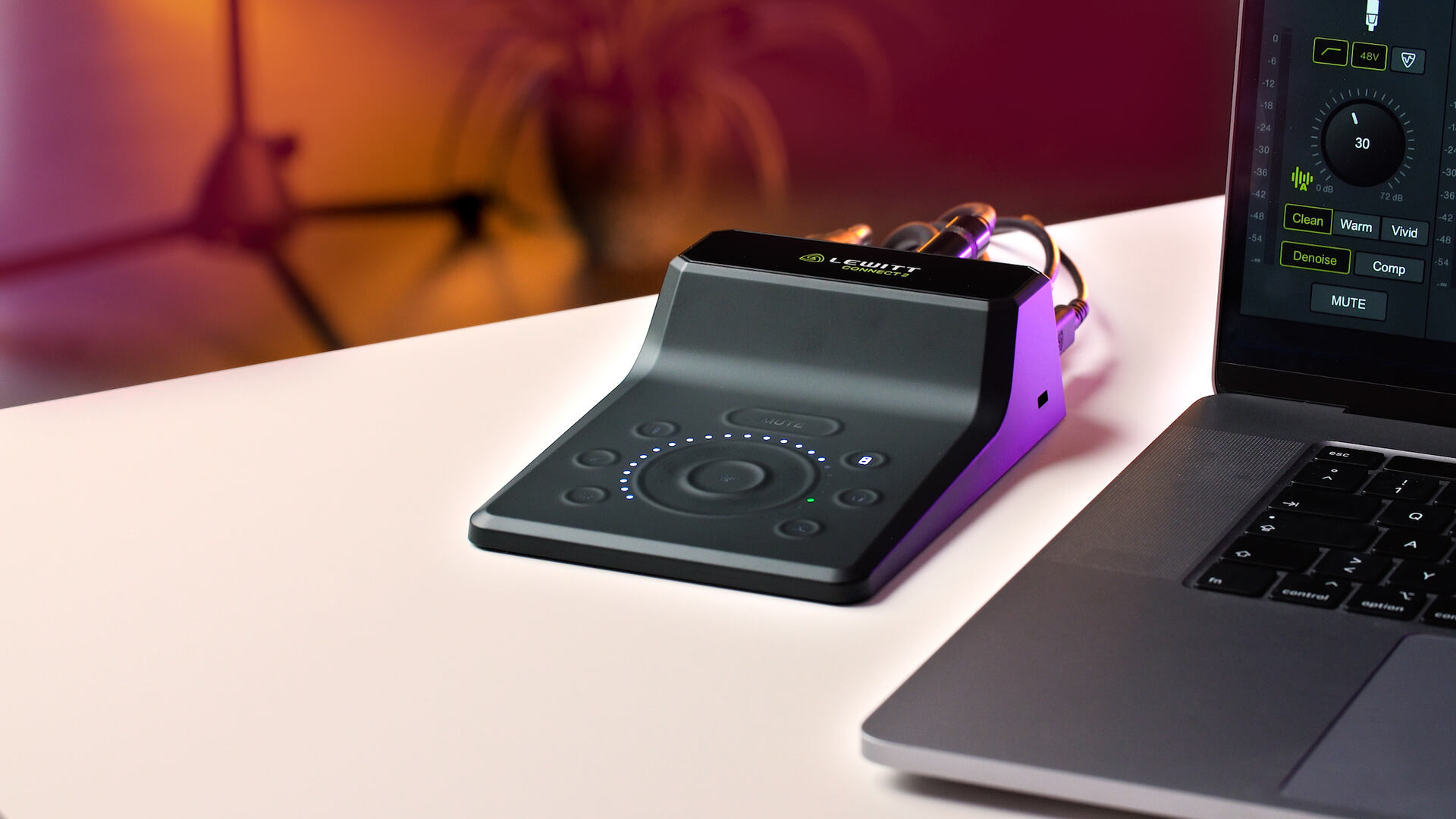 DTM・DAW LEWITT CONNECT2 Amazon.com: Lewitt CONNECT 2 USB-C Audio Interface Bundle