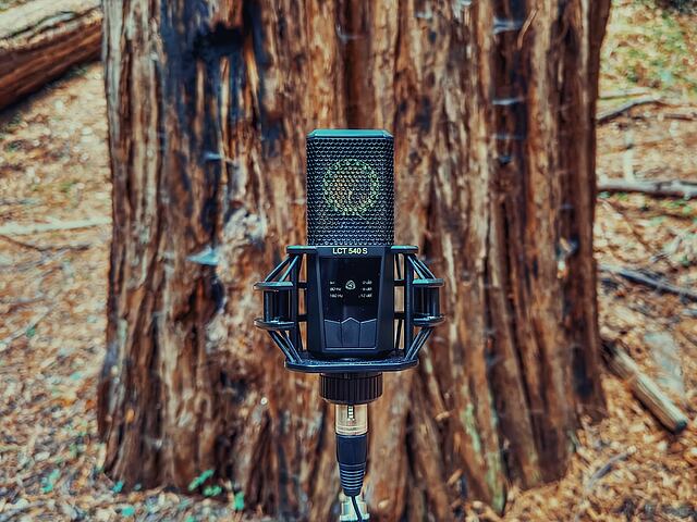 LCT 540 S in the redwood forest