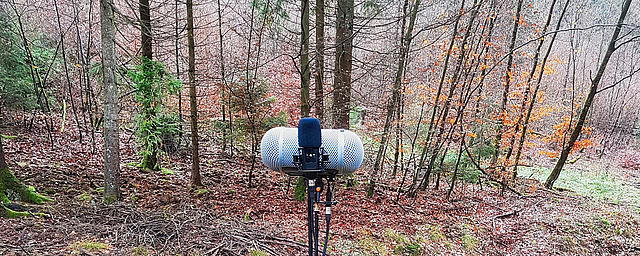 LCT 540 S fieldrecording in a forest