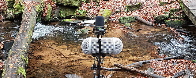 LCT 540 S recording a small creek