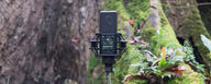 DGT 650 USB mic with built-in interface